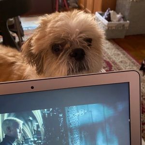 Meet your Posher, Anna